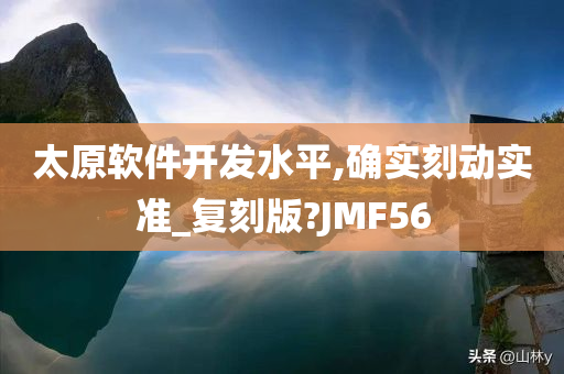 太原软件开发水平,确实刻动实准_复刻版?JMF56