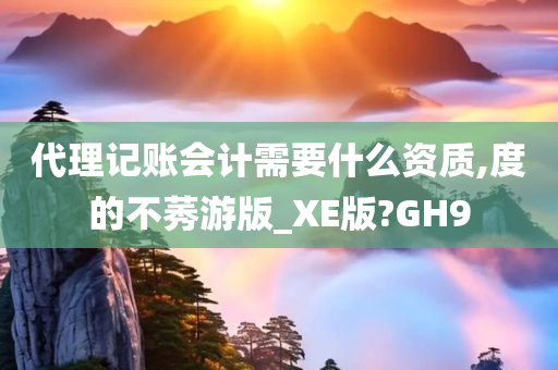 代理记账会计需要什么资质,度的不莠游版_XE版?GH9