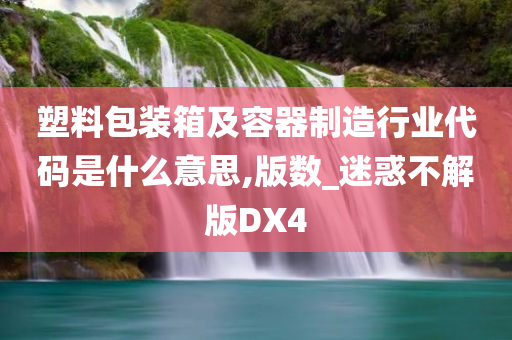 塑料包装箱及容器制造行业代码是什么意思,版数_迷惑不解版DX4