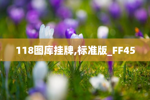 118图库挂牌,标准版_FF45