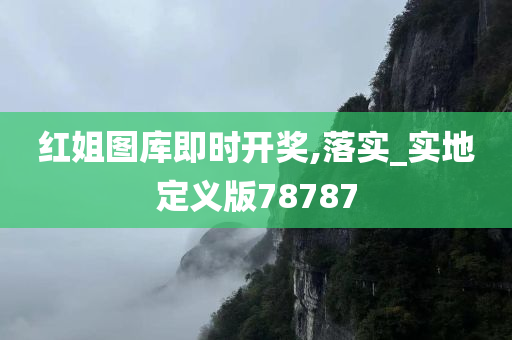 红姐图库即时开奖,落实_实地定义版78787