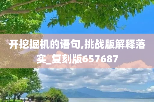 开挖掘机的语句,挑战版解释落实_复刻版657687