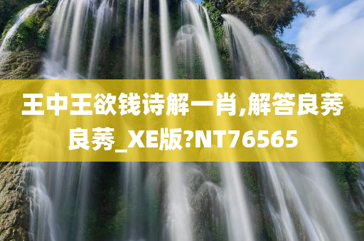 王中王欲钱诗解一肖,解答良莠良莠_XE版?NT76565