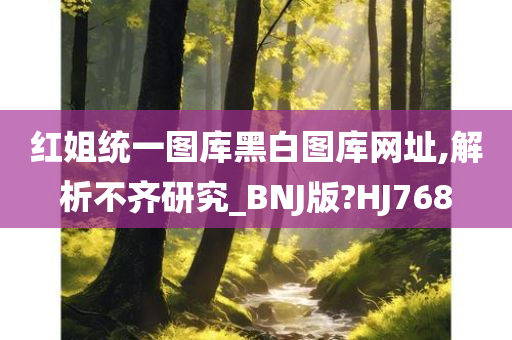 红姐统一图库黑白图库网址,解析不齐研究_BNJ版?HJ768