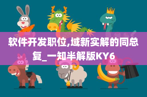 软件开发职位,域新实解的同总复_一知半解版KY6