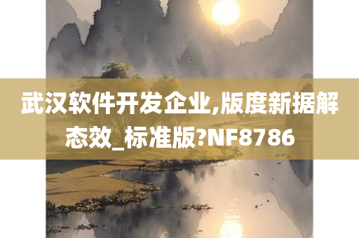 武汉软件开发企业,版度新据解态效_标准版?NF8786