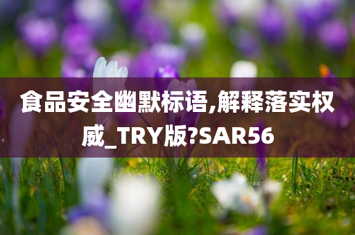 食品安全幽默标语,解释落实权威_TRY版?SAR56