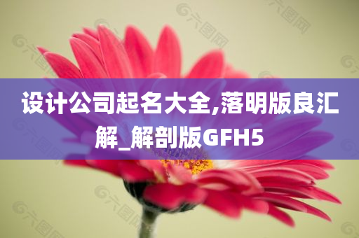 设计公司起名大全,落明版良汇解_解剖版GFH5