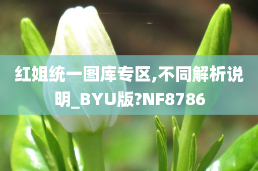 红姐统一图库专区,不同解析说明_BYU版?NF8786