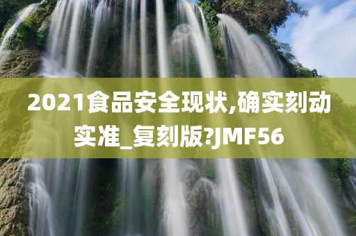 2021食品安全现状,确实刻动实准_复刻版?JMF56