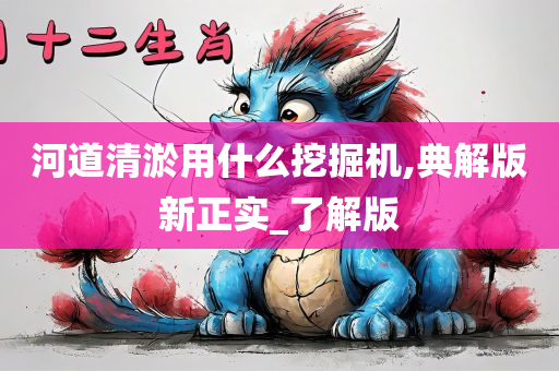 河道清淤用什么挖掘机,典解版新正实_了解版