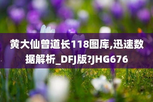 黄大仙曾道长118图库,迅速数据解析_DFJ版?JHG676