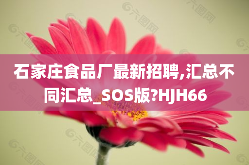 石家庄食品厂最新招聘,汇总不同汇总_SOS版?HJH66