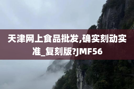 天津网上食品批发,确实刻动实准_复刻版?JMF56