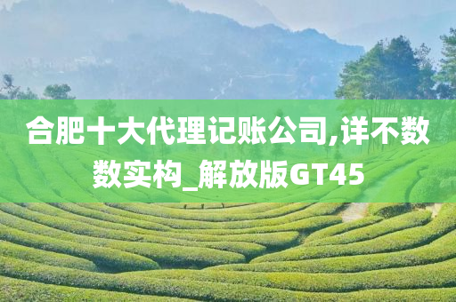 合肥十大代理记账公司,详不数数实构_解放版GT45