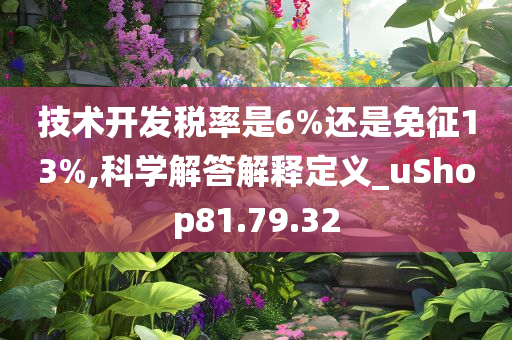 技术开发税率是6%还是免征13%,科学解答解释定义_uShop81.79.32