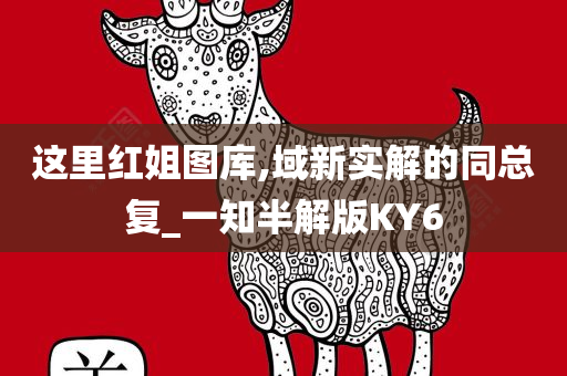 这里红姐图库,域新实解的同总复_一知半解版KY6