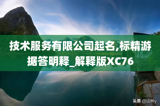 技术服务有限公司起名,标精游据答明释_解释版XC76