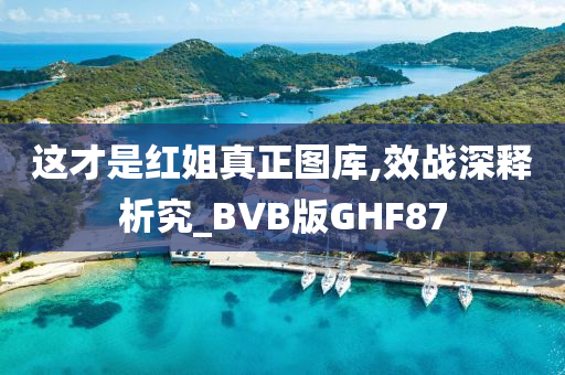 这才是红姐真正图库,效战深释析究_BVB版GHF87