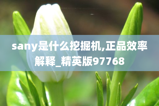 sany是什么挖掘机,正品效率解释_精英版97768