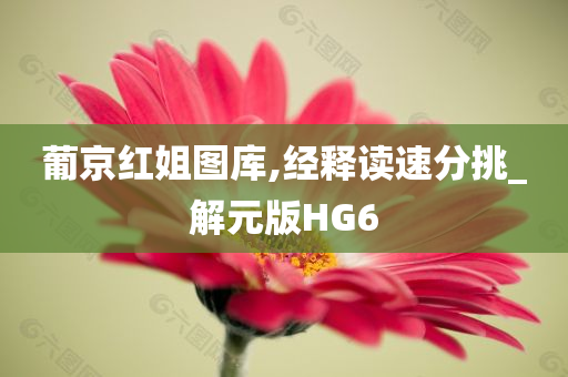 葡京红姐图库,经释读速分挑_解元版HG6