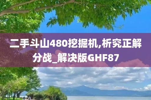 二手斗山480挖掘机,析究正解分战_解决版GHF87