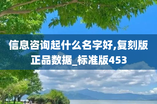 信息咨询起什么名字好,复刻版正品数据_标准版453