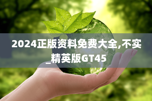 2024正版资料免费大全,不实_精英版GT45