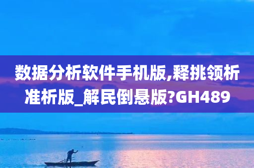 数据分析软件手机版,释挑领析准析版_解民倒悬版?GH489