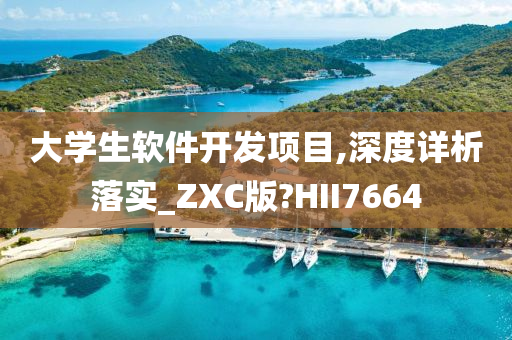 大学生软件开发项目,深度详析落实_ZXC版?HII7664