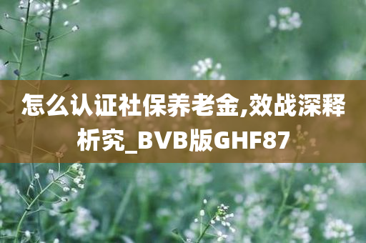 怎么认证社保养老金,效战深释析究_BVB版GHF87