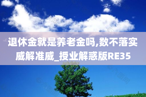 退休金就是养老金吗,数不落实威解准威_授业解惑版RE35