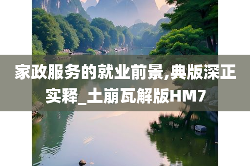 家政服务的就业前景,典版深正实释_土崩瓦解版HM7