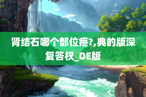 肾结石哪个部位疼?,典的版深复答权_DE版