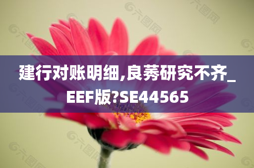 建行对账明细,良莠研究不齐_EEF版?SE44565