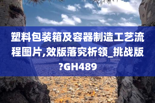 塑料包装箱及容器制造工艺流程图片,效版落究析领_挑战版?GH489