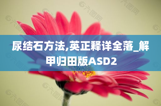 尿结石方法,英正释详全落_解甲归田版ASD2