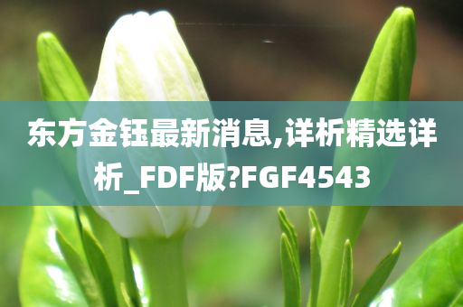 东方金钰最新消息,详析精选详析_FDF版?FGF4543