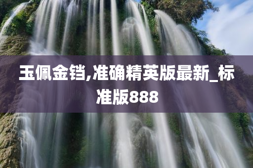 玉佩金铛,准确精英版最新_标准版888