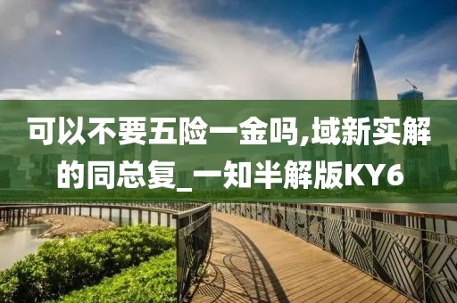 可以不要五险一金吗,域新实解的同总复_一知半解版KY6