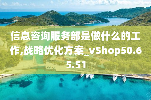 信息咨询服务部是做什么的工作,战略优化方案_vShop50.65.51