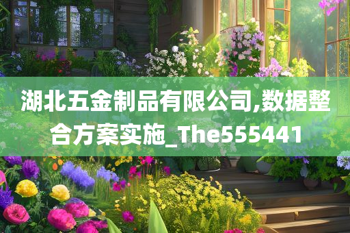 湖北五金制品有限公司,数据整合方案实施_The555441