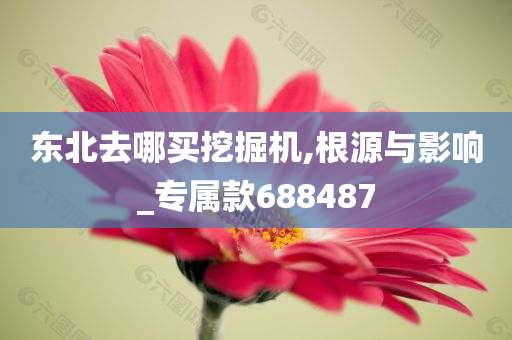 东北去哪买挖掘机,根源与影响_专属款688487