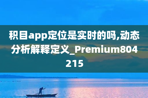 积目app定位是实时的吗,动态分析解释定义_Premium804215