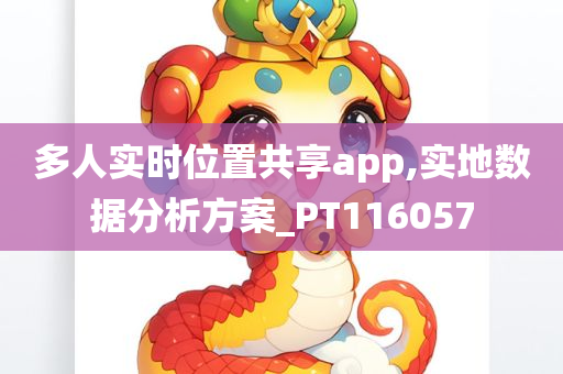 多人实时位置共享app,实地数据分析方案_PT116057