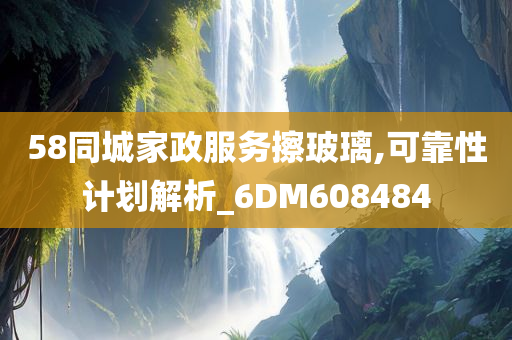 58同城家政服务擦玻璃,可靠性计划解析_6DM608484