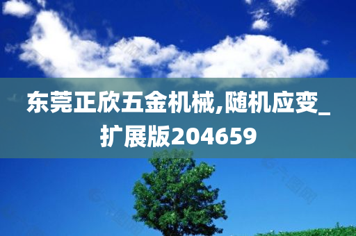 东莞正欣五金机械,随机应变_扩展版204659