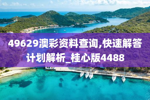 49629澳彩资料查询,快速解答计划解析_桂心版4488