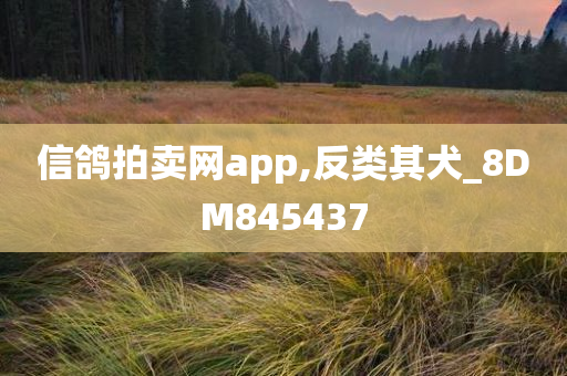 信鸽拍卖网app,反类其犬_8DM845437