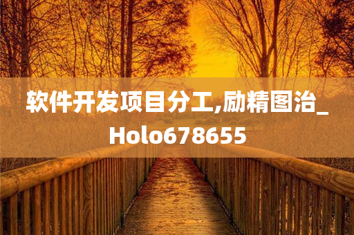 软件开发项目分工,励精图治_Holo678655